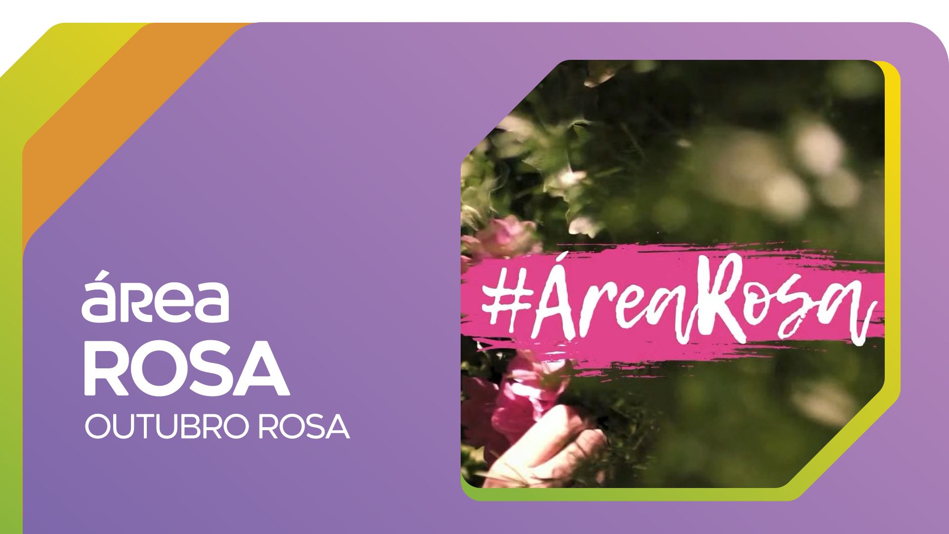 Área Rosa - Campanha Outubro Rosa